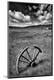 Premium Photographic Print