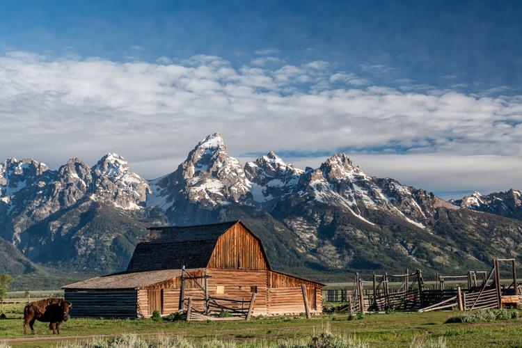Premium Photographic Print, , large