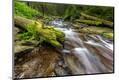 Premium Photographic Print
