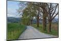 Premium Photographic Print