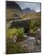 Premium Photographic Print
