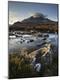 Photographic Print
