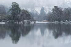 A winter scene at Rydal Water, Lake District National Park, Cumbria, England, United Kingdom, Europ-Jon Gibbs-Photographic Print