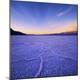 Premium Photographic Print