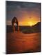 Photographic Print