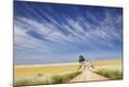 Photographic Print