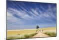 Photographic Print