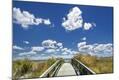 Photographic Print