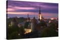 Stretched Canvas Print