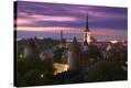 Stretched Canvas Print