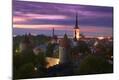 Photographic Print