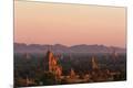 Premium Photographic Print