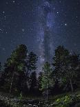Woods in Bryce Canyon National Park at Night-Jon Hicks-Photographic Print