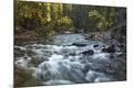 Photographic Print