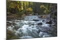 Photographic Print