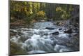 Photographic Print