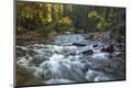 Photographic Print