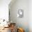 Jon Snow-Cristian Mielu-Premium Giclee Print displayed on a wall