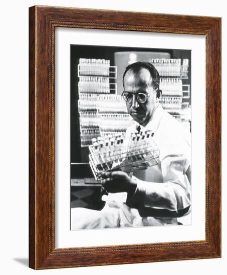 Jonas E. Salk Medical Researcher Who Developed the First Polio Vaccine, Ca. 1955-null-Framed Photo