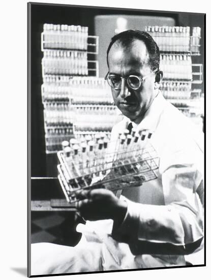 Jonas E. Salk Medical Researcher Who Developed the First Polio Vaccine, Ca. 1955-null-Mounted Photo