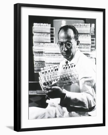 Jonas E. Salk Medical Researcher Who Developed the First Polio Vaccine, Ca. 1955-null-Framed Photo