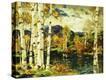 Stretched Canvas Print