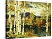 Stretched Canvas Print