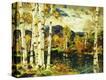 Stretched Canvas Print