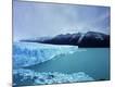 Premium Photographic Print