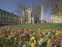 Gardens on East Side of Bath Abbey-Jonathan Hicks-Photographic Print