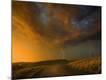 Premium Photographic Print