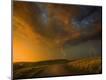 Photographic Print