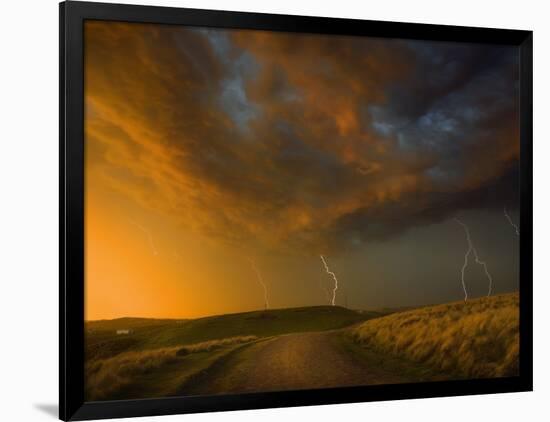 Photographic Print, , large