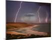 Premium Photographic Print