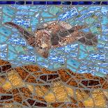 Sea Turtle-Jonathan Mandell-Giclee Print