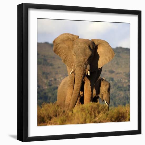 Photographic Print, , large