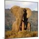 Premium Photographic Print