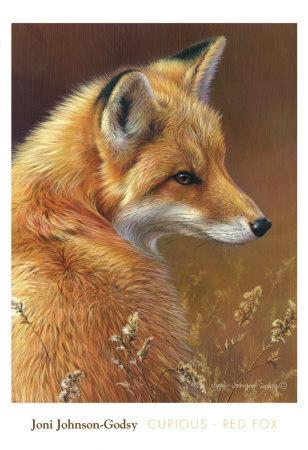 Red Fox by Joni Johnson-Godsy Poster 19x13 WILDLIFE ART PRINT Curious