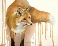 Through My Window: Whitetail Deer-Joni Johnson-godsy-Stretched Canvas