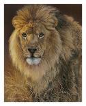 Power and Presence: African Lion-Joni Johnson-godsy-Art Print