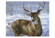 Through My Window: Whitetail Deer-Joni Johnson-godsy-Art Print