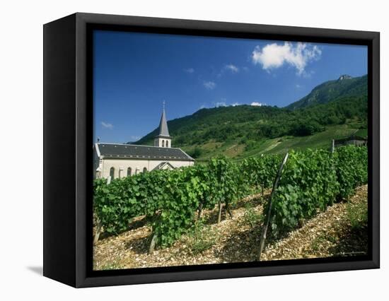 Jonjieux (Jonzieux), Savoie Vineyards, Rhone Alpes, France-Michael Busselle-Framed Premier Image Canvas