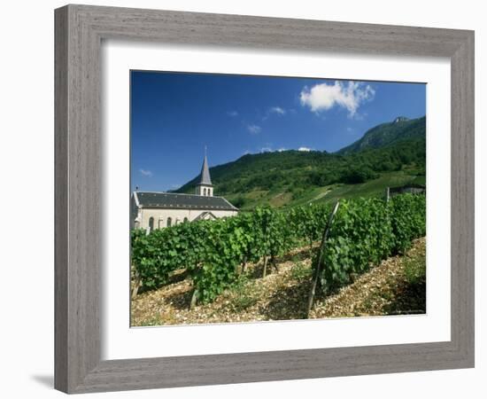 Jonjieux (Jonzieux), Savoie Vineyards, Rhone Alpes, France-Michael Busselle-Framed Photographic Print