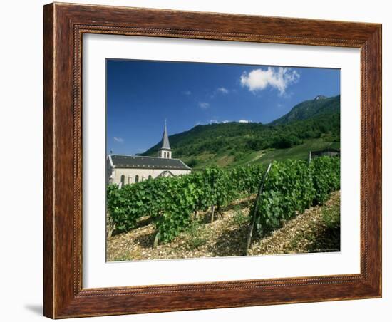 Jonjieux (Jonzieux), Savoie Vineyards, Rhone Alpes, France-Michael Busselle-Framed Photographic Print