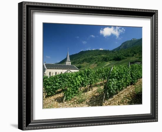 Jonjieux (Jonzieux), Savoie Vineyards, Rhone Alpes, France-Michael Busselle-Framed Photographic Print