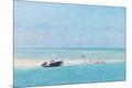 Premium Giclee Print