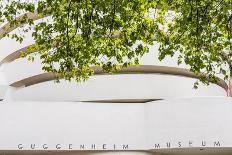 Solomon R Guggenheim Museum, Manhattan, New York, USA-Jordan Banks-Photographic Print