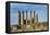 Jordan, Jerash, Temple of Artemis-Claudia Adams-Framed Premier Image Canvas