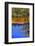 Jordan River Abstract Near Bethany, Israel-William Perry-Framed Photographic Print