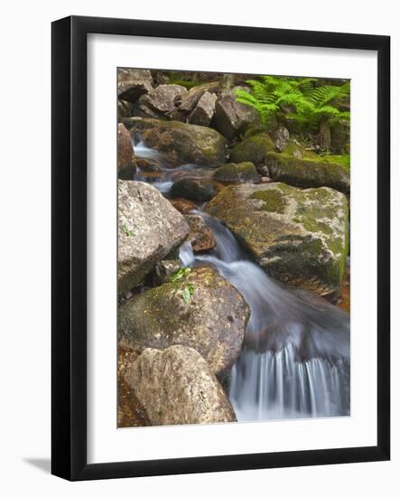 Jordan Stream in Acadia National Park, Maine, Usa-Chuck Haney-Framed Photographic Print